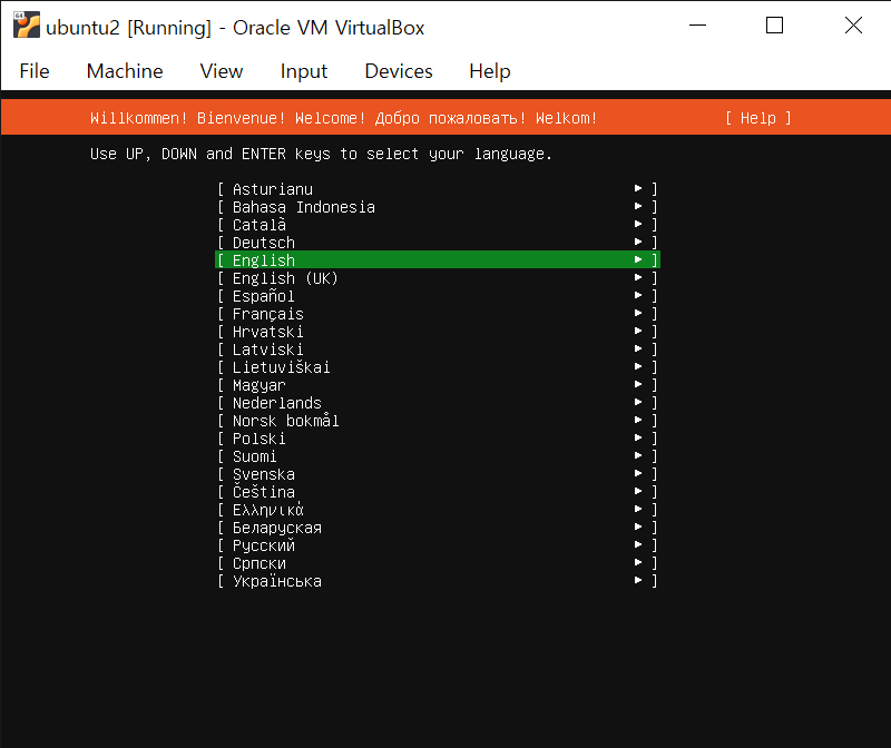 Ubuntu - server language